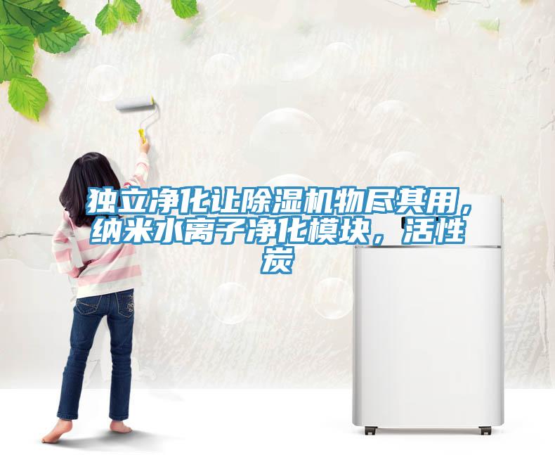 獨(dú)立凈化讓除濕機(jī)物盡其用，納米水離子凈化模塊，活性炭
