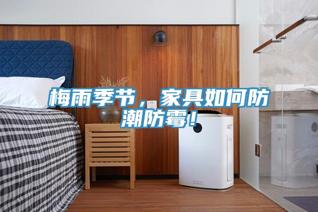 梅雨季節，家具如何防潮防霉！