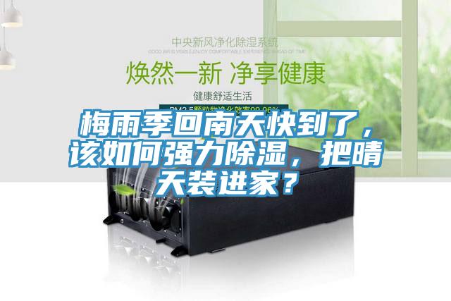 梅雨季回南天快到了，該如何強(qiáng)力除濕，把晴天裝進(jìn)家？