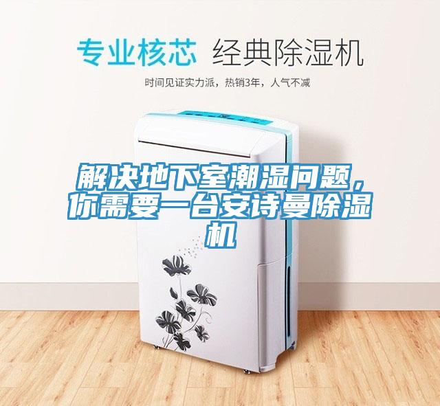解決地下室潮濕問題,你需要一臺安詩曼除濕機