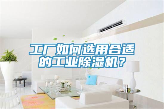 工廠如何選用合適的工業除濕機?