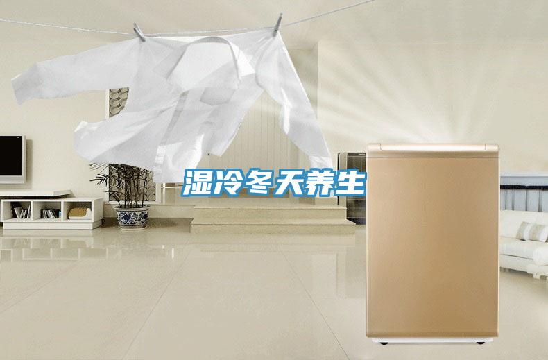 濕冷冬天養生