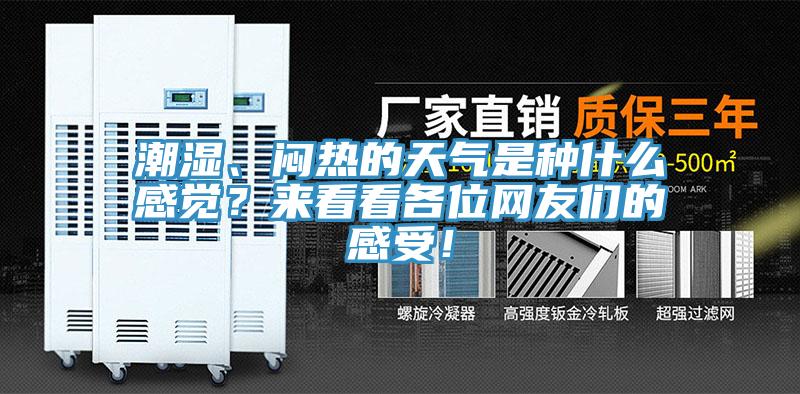 潮濕、悶熱的天氣是種什么感覺？來看看各位網友們的感受！