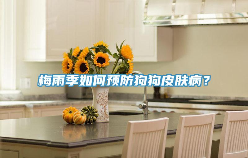 梅雨季如何預(yù)防狗狗皮膚?。?></div>
								<div   id=