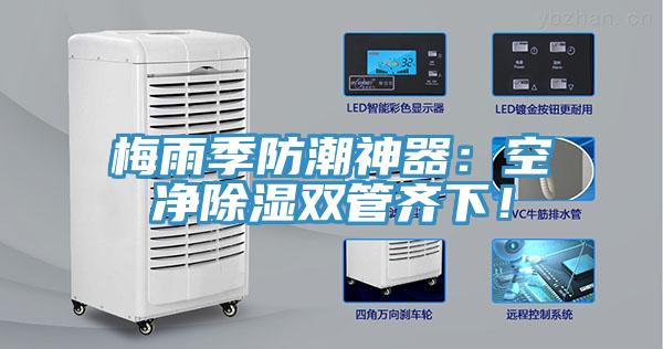 梅雨季防潮神器：空凈除濕雙管齊下！