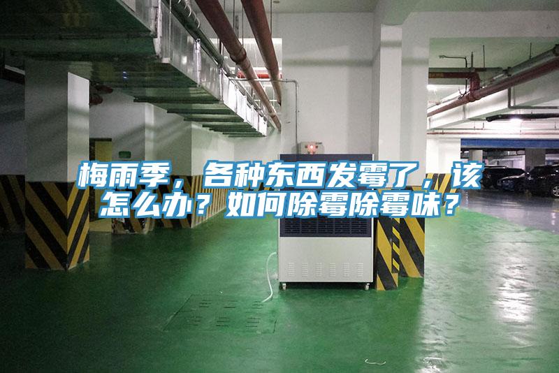 梅雨季，各種東西發(fā)霉了，該怎么辦？如何除霉除霉味？