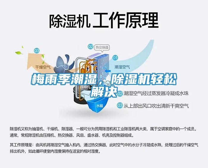 梅雨季潮濕,除濕機(jī)輕松解決