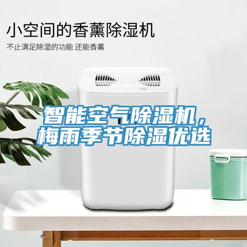 智能空氣除濕機,梅雨季節除濕優選