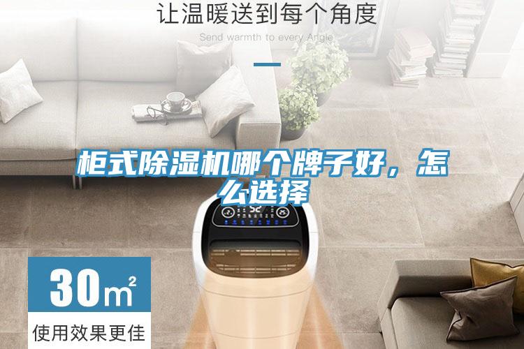 柜式除濕機哪個牌子好，怎么選擇