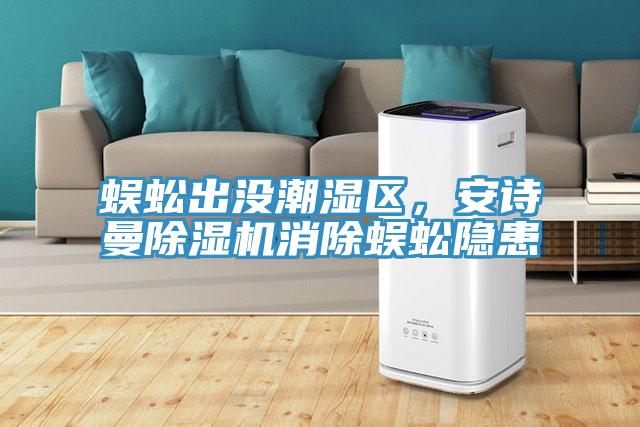 蜈蚣出沒潮濕區,安詩曼除濕機消除蜈蚣隱患