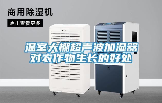 溫室大棚超聲波加濕器對農作物生長的好處