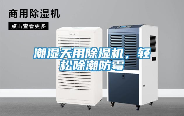 潮濕天用除濕機，輕松除潮防霉
