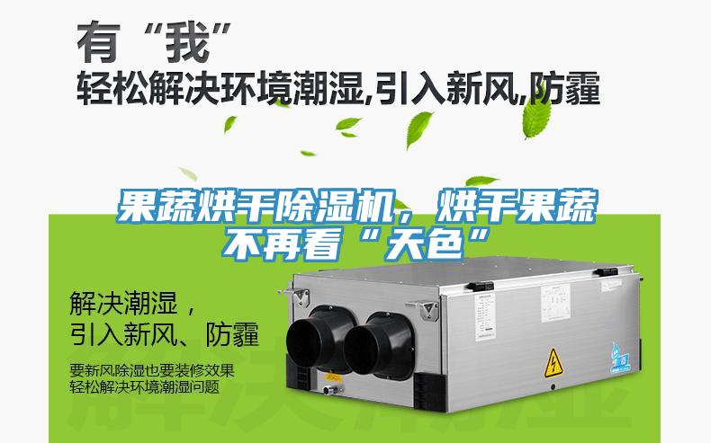 果蔬烘干除濕機，烘干果蔬不再看“天色”