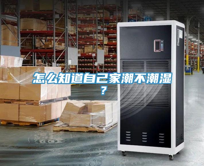 怎么知道自己家潮不潮濕?