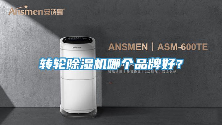 轉輪除濕機哪個品牌好？