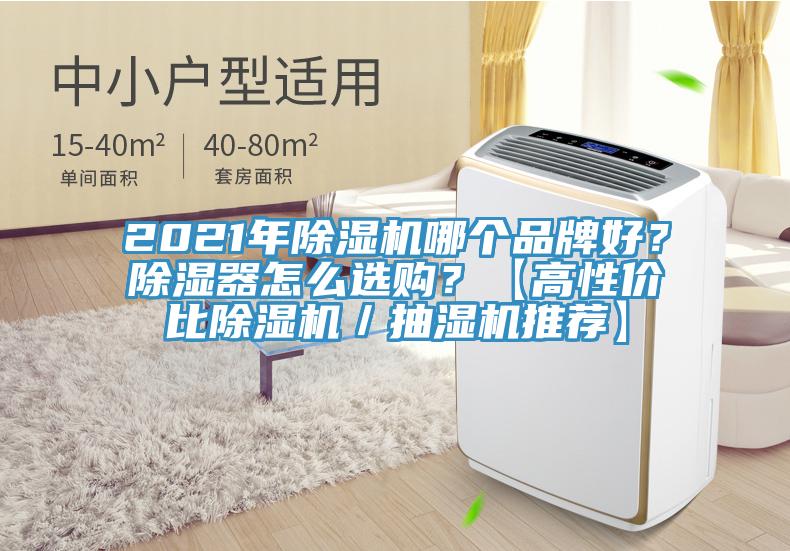 2021年除濕機哪個品牌好？除濕器怎么選購？【高性價比除濕機／抽濕機推薦】