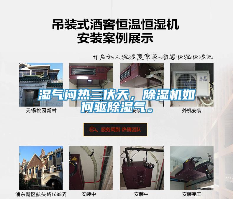 濕氣悶熱三伏天，除濕機如何驅除濕氣。