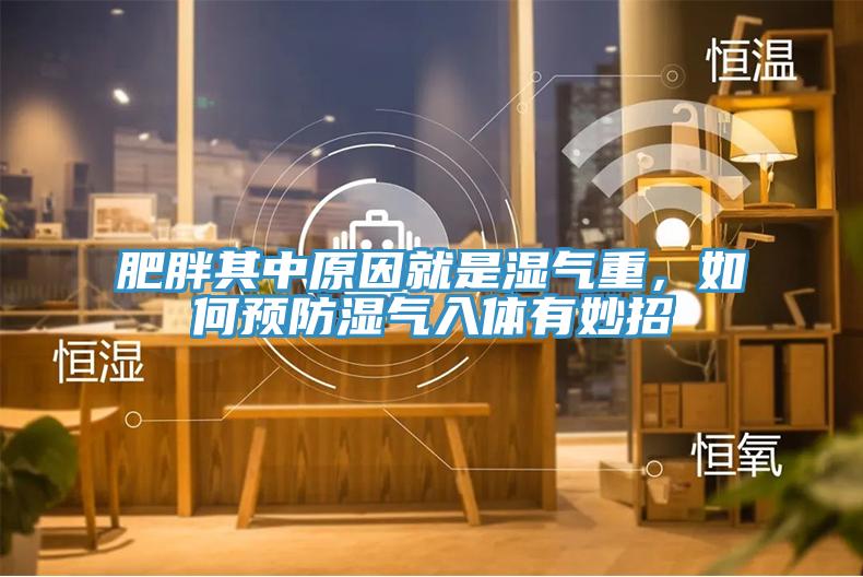肥胖其中原因就是濕氣重，如何預防濕氣入體有妙招