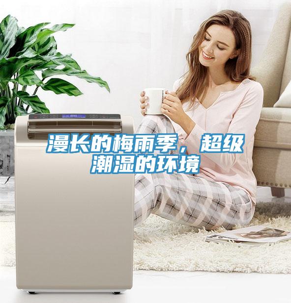 漫長的梅雨季，超級潮濕的環境