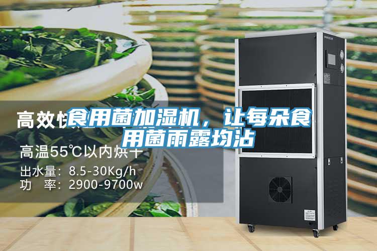 食用菌加濕機，讓每朵食用菌雨露均沾