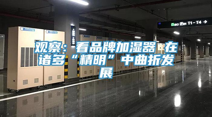 觀察:看品牌加濕器 在諸多“精明”中曲折發展