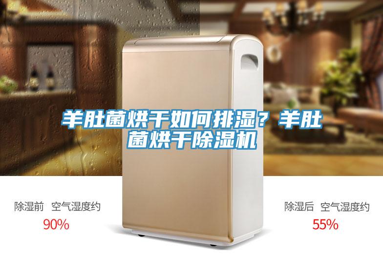 羊肚菌烘干如何排濕？羊肚菌烘干除濕機