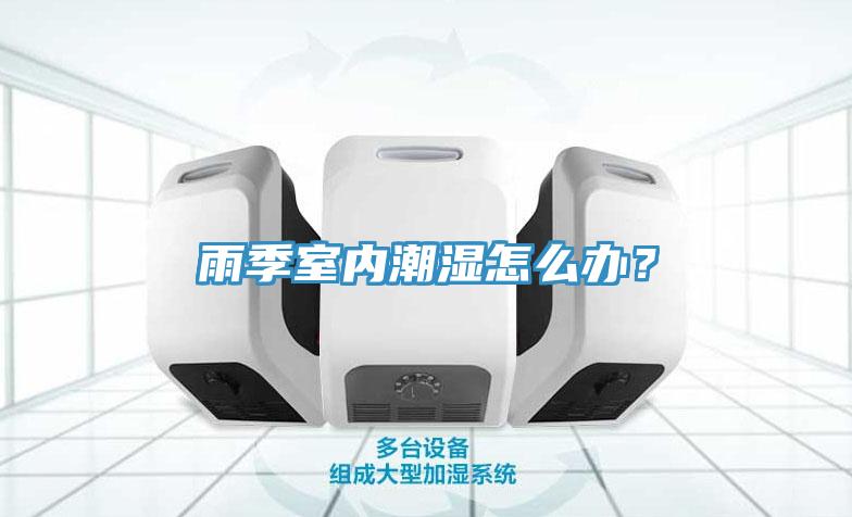 雨季室內潮濕怎么辦？