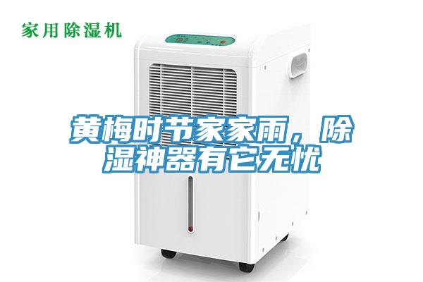 黃梅時(shí)節(jié)家家雨，除濕神器有它無憂