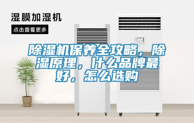 除濕機保養(yǎng)全攻略，除濕原理，什么品牌最好，怎么選購