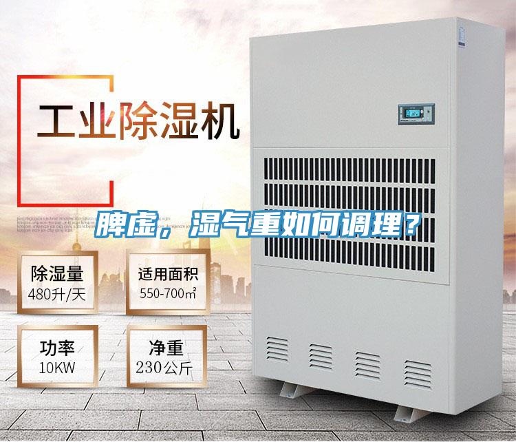 脾虛，濕氣重如何調理？