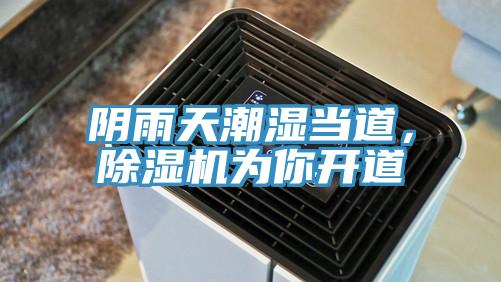 陰雨天潮濕當道，除濕機為你開道