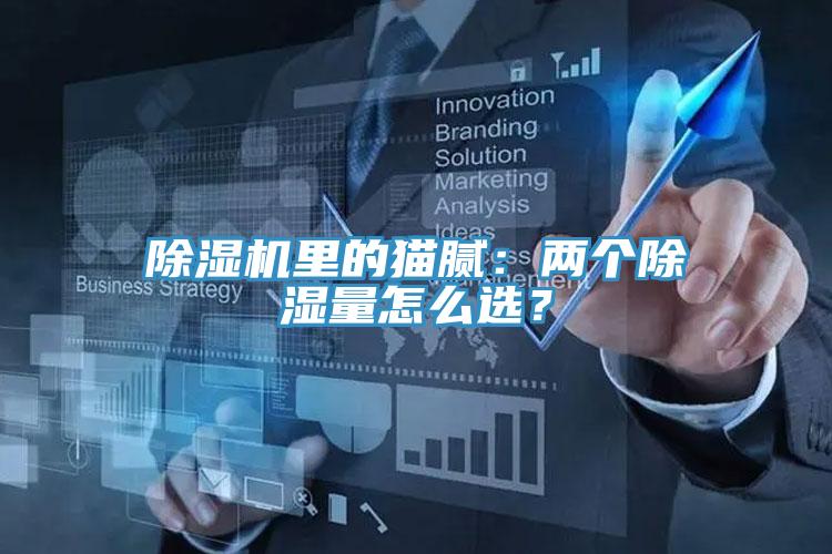 除濕機(jī)里的貓膩:兩個除濕量怎么選?