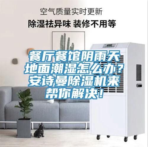 餐廳餐館陰雨天地面潮濕怎么辦？安詩曼除濕機來幫你解決！