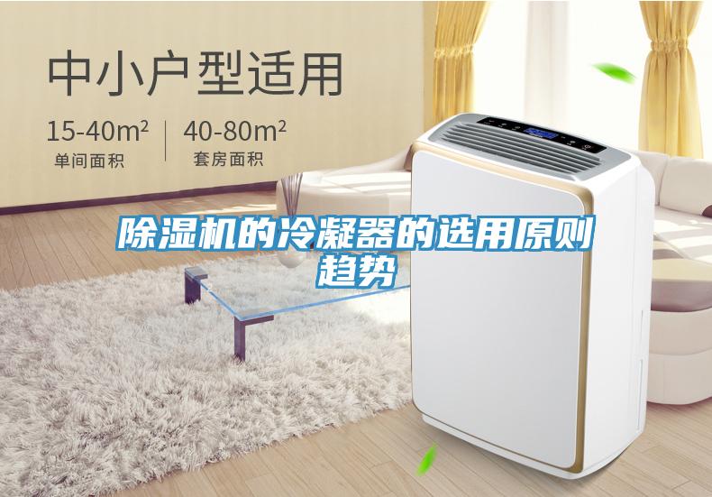 除濕機(jī)的冷凝器的選用原則趨勢