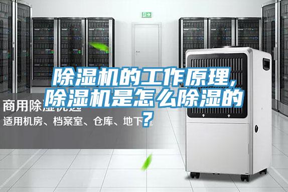 除濕機的工作原理,除濕機是怎么除濕的？