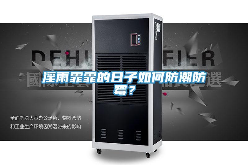 淫雨霏霏的日子如何防潮防霉？