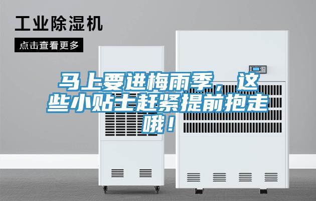 馬上要進(jìn)梅雨季，這些小貼士趕緊提前抱走哦！