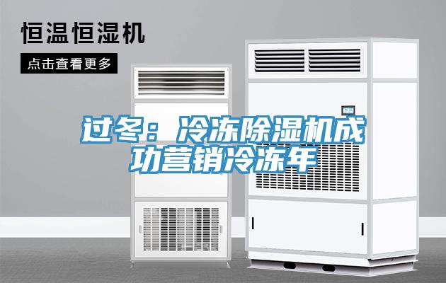過冬:冷凍除濕機(jī)成功營銷冷凍年