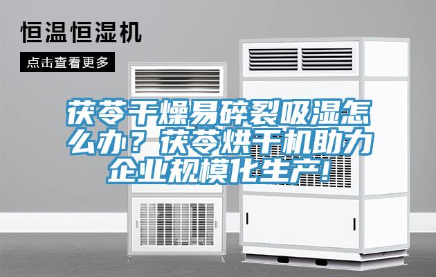 茯苓干燥易碎裂吸濕怎么辦?茯苓烘干機助力企業規模化生產!