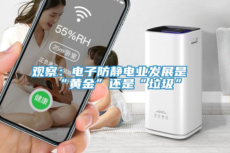 觀察:電子防靜電業發展是“黃金”還是“垃圾”