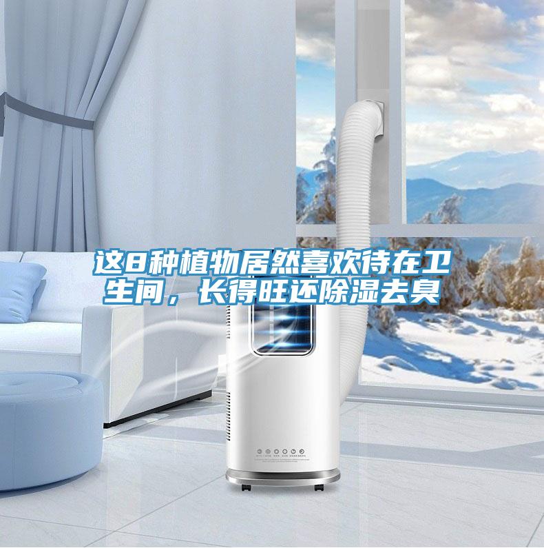 這8種植物居然喜歡待在衛生間，長得旺還除濕去臭