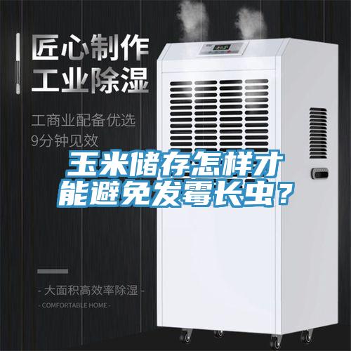 玉米儲存怎樣才能避免發(fā)霉長蟲？