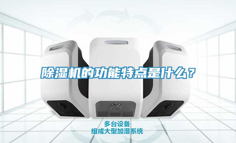 除濕機(jī)的功能特點是什么?