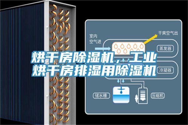 烘干房除濕機，工業烘干房排濕用除濕機