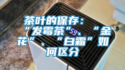 茶葉的保存:“發霉茶”、“金花”、“白霜”如何區分