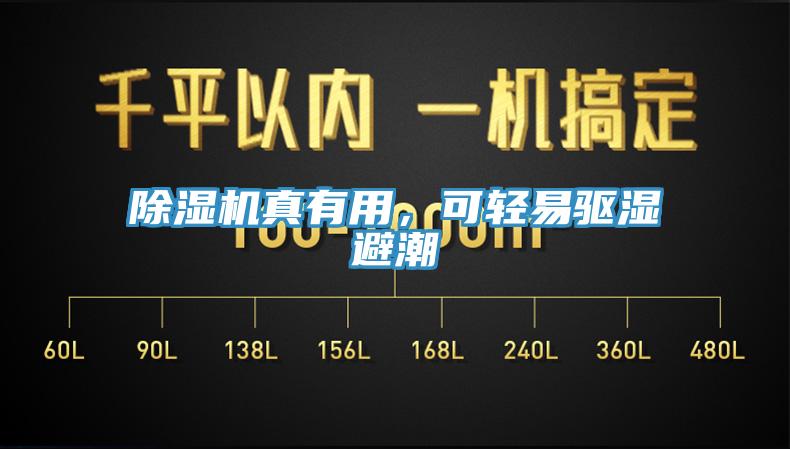 除濕機真有用，可輕易驅濕避潮