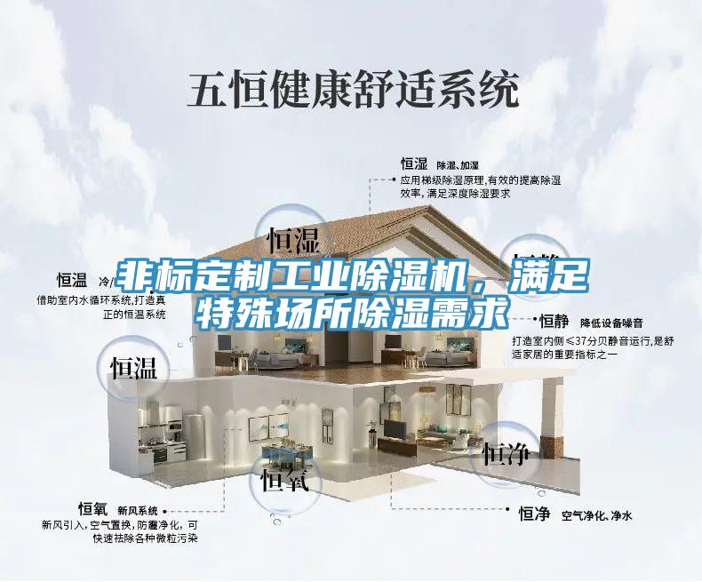 非標定制工業除濕機,滿足特殊場所除濕需求
