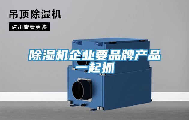 除濕機企業(yè)要品牌產(chǎn)品一起抓