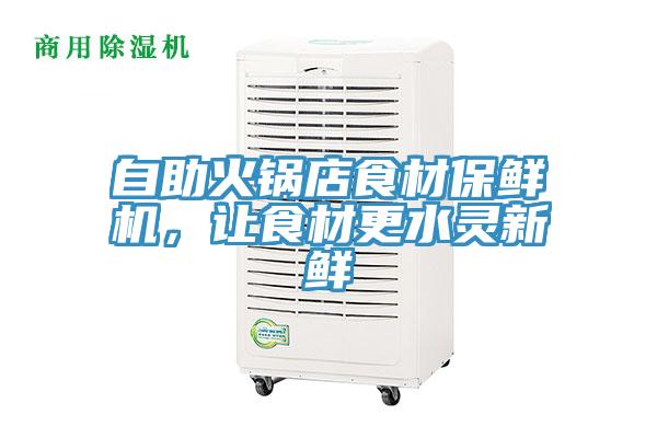 自助火鍋店食材保鮮機，讓食材更水靈新鮮