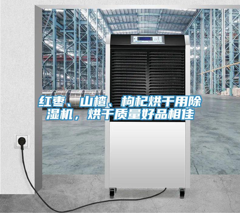 紅棗、山楂、枸杞烘干用除濕機，烘干質量好品相佳